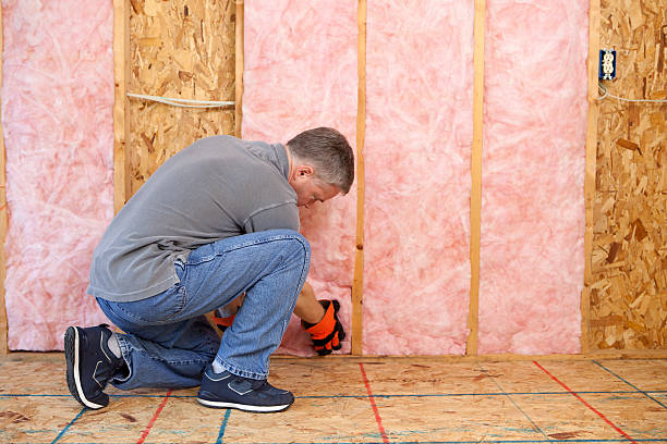 Best Blown-In Insulation  in Heyworth, IL